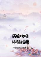 历史攻略体验指南