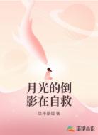 月光的倒影在自救