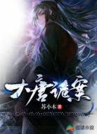 大唐诡案