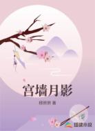 宫墙月影