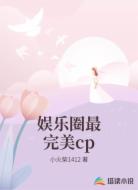 娱乐圈最完美cp