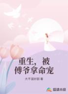 重生，被傅爷拿命宠