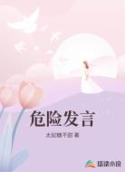 危险发言