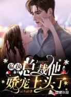 偏执总裁他娇宠上头了