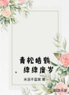 青松皓鹤,绵绵度岁