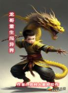 龙哥重生闯异界