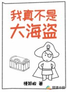 我真不是大海盜