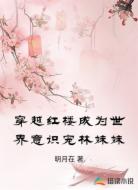 穿越红楼成世界意识宠妹妹