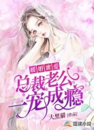 暖婚蜜爱:总裁老公一宠成瘾