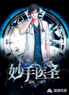 妙手医圣
