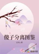 傻子分离图鉴