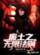 废土之无限法则