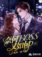 奈何BOSS又如何