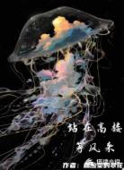 站在高楼等风来