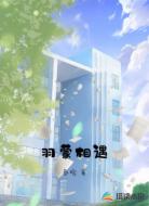 羽蒙相遇