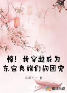 惊!我穿越成东宫良娣们的团宠