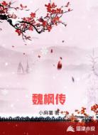 魏枫传