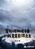 穿越成纨绔子弟的我竟是影流之主