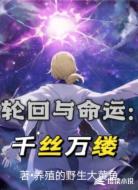 轮回与命运：千丝万缕