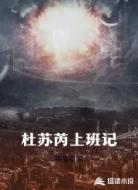 杜苏芮上班记