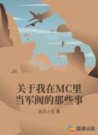 關(guān)于我在MC里當(dāng)軍閥的那些事