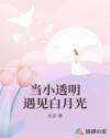 當(dāng)小透明遇見白月光