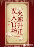 誤入官場，火速升遷