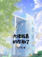 大佬我真的不敢了