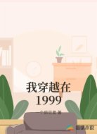 我穿越在1999