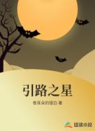 引路之星