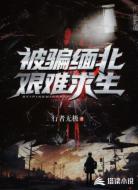 被骗缅北,艰难求生