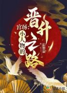 官场:小人物的晋升之路