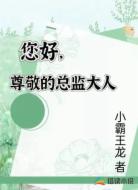 您好,尊敬的总监大人