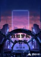 致如梦似水的你