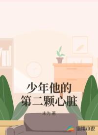 少年他的第二颗心脏