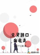 交叉路口向北走