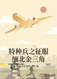 特种兵之征服缅北金三角