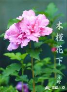 木槿花下