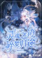 灵魂之镜，碎梦归途