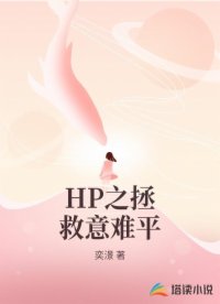 HP之拯救意难平