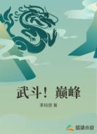 武斗!巅峰