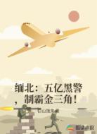 缅北：五亿黑警，制霸金三角！