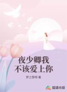 夜少卿我不该爱上你