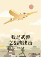 我是武警之猎鹰出击