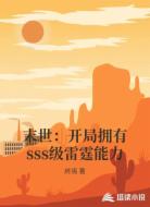 末世:开局拥有sss级雷霆能力