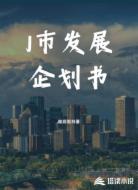 J市城市发展企划书