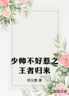 少帅不好惹之王者归来