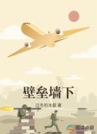壁垒墙下