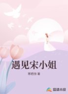 遇见宋小姐
