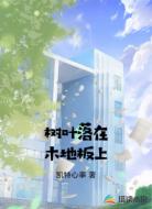 树叶落在木地板上